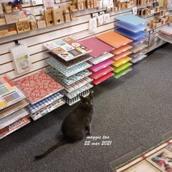 The Cat's Meow - Quill