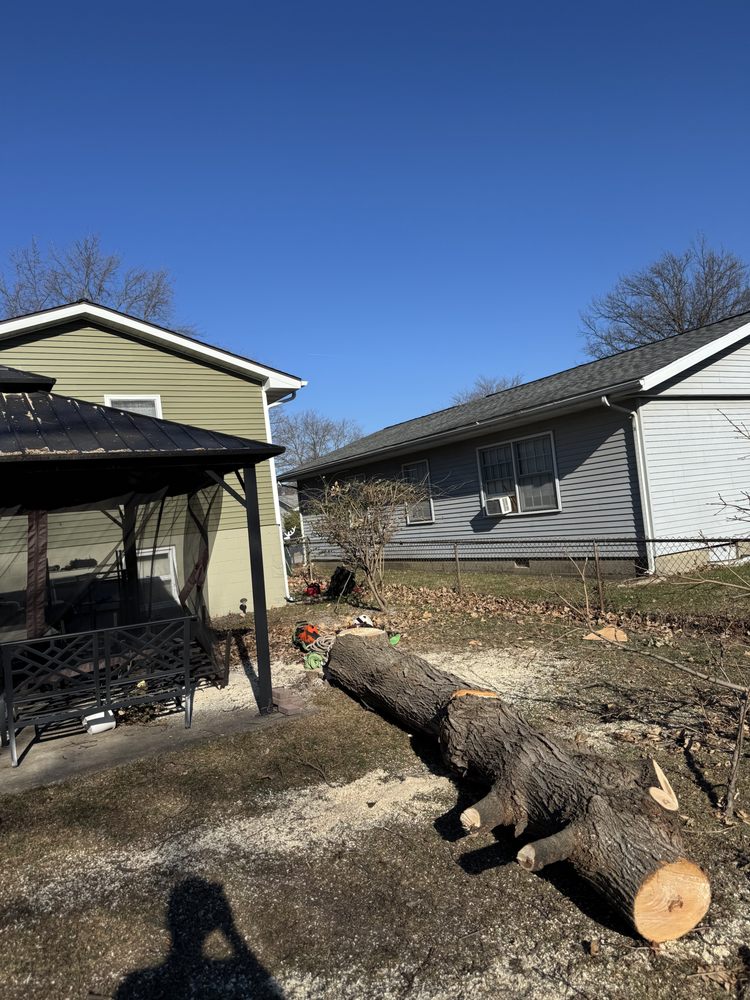 Gilmore Tree Services - tree service in Jerseyville, IL