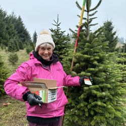 Windsong Christmas Tree Farm