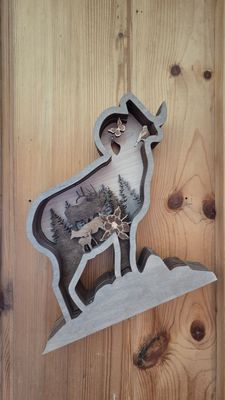 The Shaggy Sheep by null