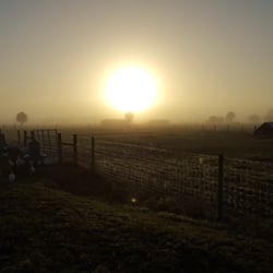 Circle C Farm
