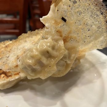 Dumpling Yo! - Pot stickers - Dim Sum Near Me - Sacramento, California Dumpling Yo! - Pot stickers - Dim Sum Near Me - Sacramento, California