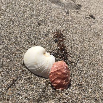 Dania Beach - Beaches Near Me - Dania Beach, Florida