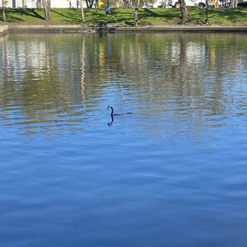 Craig Park - Parks Near Me - Tarpon Springs, Florida Craig Park - Parks Near Me - Tarpon Springs, Florida
