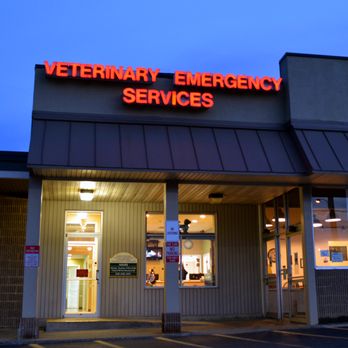 Veterinary Emergency Services - Veterinarians Near Me - Verona, Virginia