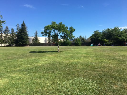 Jenny Strand Park by null