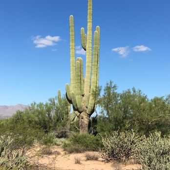 Green Zebra Adventures - Tours Near Me - Scottsdale, Arizona Green Zebra Adventures - Tours Near Me - Scottsdale, Arizona