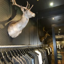Fallow