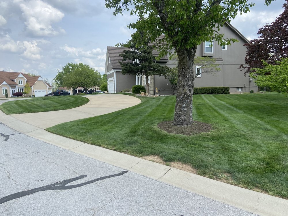 EMPIRE LAWN AND LANDSCAPING Updated August 2024 Request a Quote