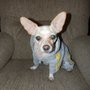 Photo of Miss Renee's Pet Sitting