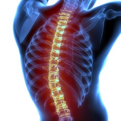 Carabasi Chiropractic Center - Carabasi Chiropractic Center, 6 E Main Street, Marlton NJ 08053