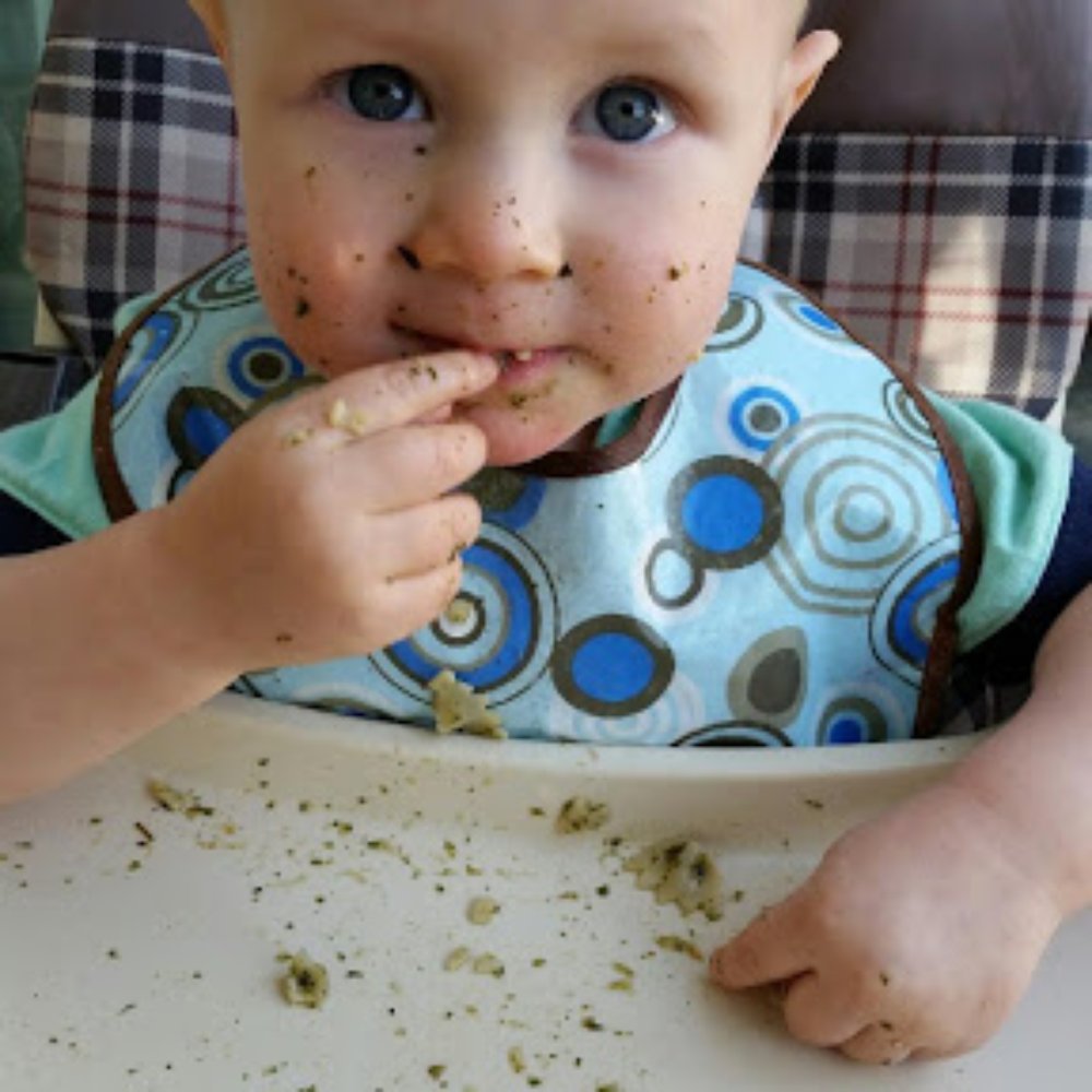 Galina's Daycare - food num nums - Child Care & Day Care Near Me - Concord, California