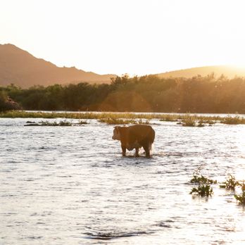 Buzzed Up Adventures - Rafting/Kayaking Near Me