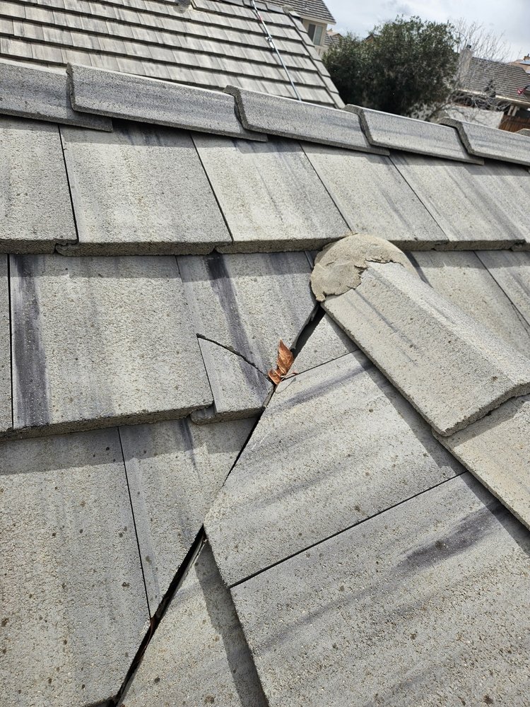 Slide of Romer’s Roofing