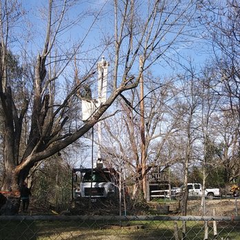 Valley Falls Tree Care - One of several - Tree Services Near Me Valley Falls Tree Care - One of several - Tree Services Near Me