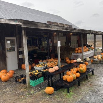 Pickin' Patch -  large variety of pumpkins - Farmers Market Near Me - Avon, Connecticut