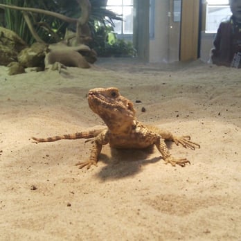 TerraZoo - Zoos Near Me - Rheinberg, NW