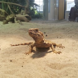 TerraZoo