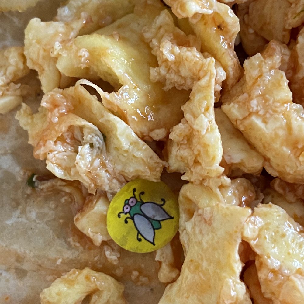 First Watch - Fly sticker in my eggs!!!! Absolutely disgusting - Breakfast & Brunch Near Me - Raleigh, North Carolina