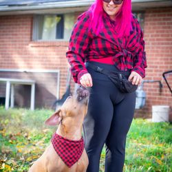 Pawsome Palz K9 Training