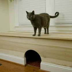 Cary Carpentry & Construction - Poplar cathouse chest to hide the client's litter boxes