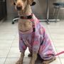 Photo of Centre Street Veterinary Clinic