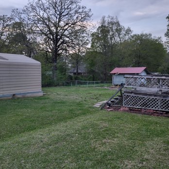 Couch Tree Service - After - Tree Services Near Me - Pearl, Mississippi
