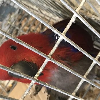 Birds Plus - Bird Shops Near Me - Valley Glen, California Birds Plus - Bird Shops Near Me - Valley Glen, California