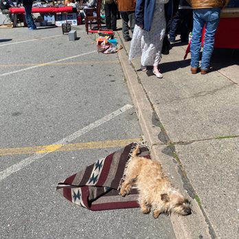 Alemany Flea Market - Flea Markets Near Me - San Francisco, California