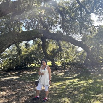 Airlie Gardens - Venues & Event Spaces Near Me - Wilmington, North Carolina Airlie Gardens - Venues & Event Spaces Near Me - Wilmington, North Carolina