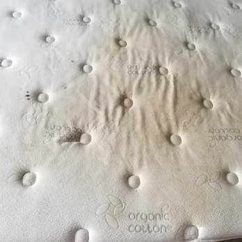 Short and Suite - Mattress in the master bedroom at 304 Gotham Private - managed by Short and Suite property management @shortandsuitebnb
DISGUSTING !! - Vacation Rentals Near Me Short and Suite - Mattress in the master bedroom at 304 Gotham Private - managed by Short and Suite property management @shortandsuitebnb
DISGUSTING !! - Vacation Rentals Near Me