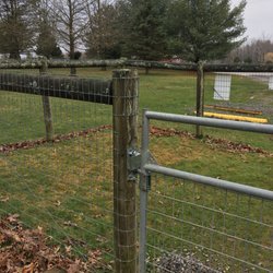 Conneaut Lake Bark Park - Gate protection!