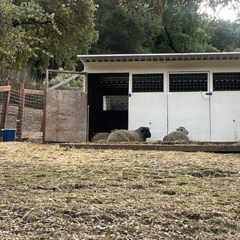 Deer Hollow Farm - Kids Activities Near Me - Cupertino, California Deer Hollow Farm - Kids Activities Near Me - Cupertino, California