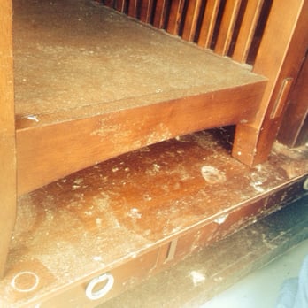 Life Storage - Chesapeake - Spiders nests and hardened webs on my tables (after only a few months) - Self Storage Near Me - Chesapeake, Virginia Life Storage - Chesapeake - Spiders nests and hardened webs on my tables (after only a few months) - Self Storage Near Me - Chesapeake, Virginia