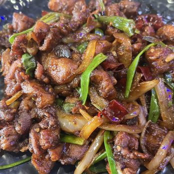 Dumpling Master - Szechuan stir fry - Dim Sum Near Me - Peachtree City, Georgia