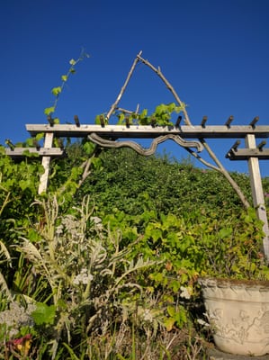 Beacon Food Forest by null