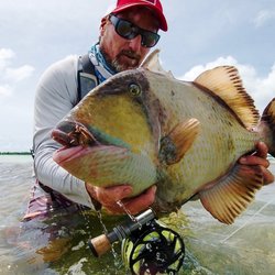 Triggerfish are just too cool!!