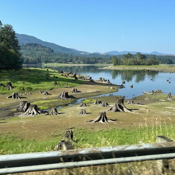 Evergreen Escapes - Late August, Alder Lake, about 30 min before park entrance - weather may vary - Tours Near Me - Seattle, Washington