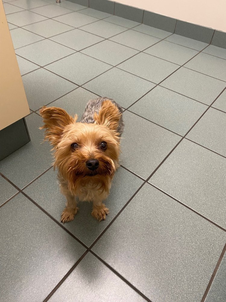 THUNDER BAY VETERINARY HOSPITAL Updated September 2024 920 Carrick