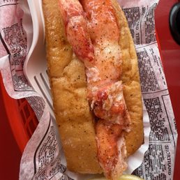 Lobster Lobster