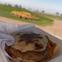 Photo of Sandpiper Golf Club