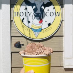Holy Cow Creamery - Death by Chocolate and blueberry cheesecake at the bottom