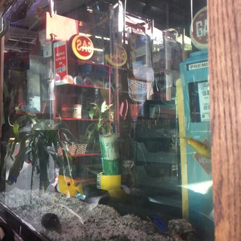 Ed's Detail - Cute fish tank here :) - Auto Detailing Near Me - Costa Mesa, California Ed's Detail - Cute fish tank here :) - Auto Detailing Near Me - Costa Mesa, California