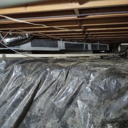Black Bear Heating & Air