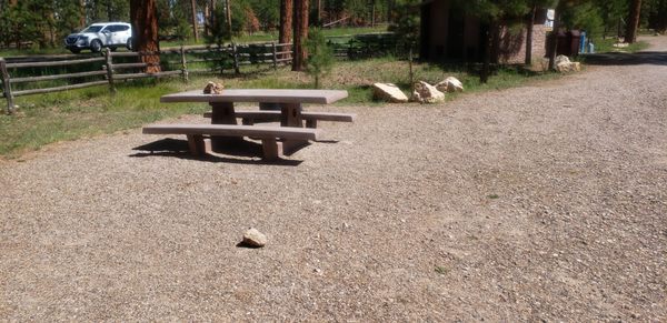 Jacob Lake Campground by null