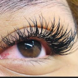 Lush Lashes by J