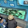 Photo of Glass Bottom Boat