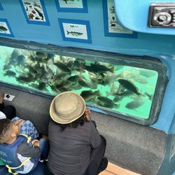 Glass Bottom Boat - Family enjoying a variety of fish in underwater viewing room.