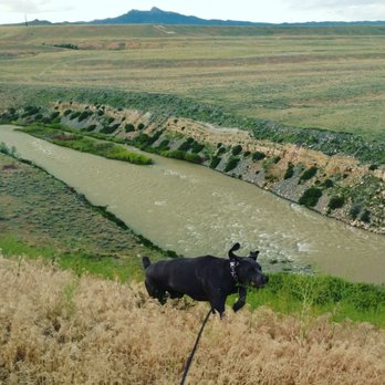 Big Bear Motel - My dog quite enjoyed running around in the field behind the hotel with stunning views! - Hotels Near Me - Cody, Wyoming Big Bear Motel - My dog quite enjoyed running around in the field behind the hotel with stunning views! - Hotels Near Me - Cody, Wyoming