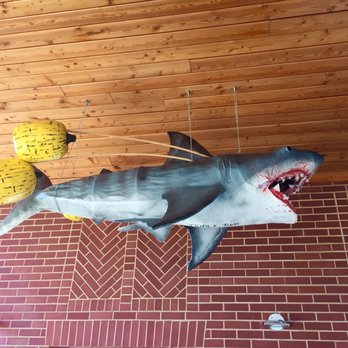 Metra - Highwood - Lookout! Shark! - Train Stations Near Me - Highwood, Illinois